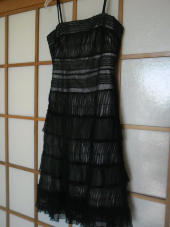 le chateau Dresses & Skirts - Le Chateau multi-layered black lacy gown with ivory underlay. Medium size.